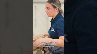 Apprentice Interview: Teagan, Apprentice at Fix Auto Newport