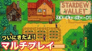 switch『スターデューバレー 』マルチプレイ実況＃１ついにきたー！マルチプレイ！２人で農場生活！NintendoSwitch