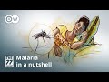 Malaria — Symptoms and treatment