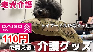 【DAISO シニア犬】老犬のお食事介護に便利！DAISOで買える介護用品2選！／老犬介護#シニア犬