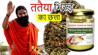 ततैया (bhirad) के छत्ता का तेल || Yellow Bee Nest Tataiya Chatta Bhirad Ka Chatta Hairfall Alopecia.