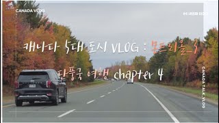 캐TALK 캐나다 5대 도시 Vlog : 몬트리올 part 3 || 캐나다 여행 || 캐나다 vlog