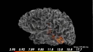 Demonstration of MNE-Pythons new vector source estimates