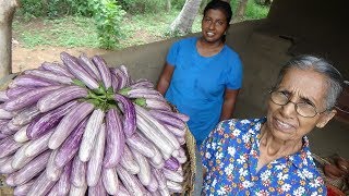 Cheesy Eggplant Recipe by Grandma and Daughter ❤ Village Life