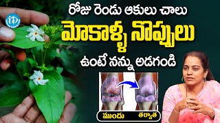 రెండు ఆకులు మోకాళ్ళ నొప్పులు శాశ్వతంగా మాయం! | Parijat Leaves for Knee Pain | Dr Swathi | iDream