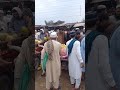 پاکستان خیبر پختون خواہ تازہ فروٹوں کی گرم بازار shorts