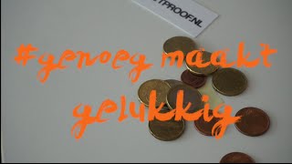 Genoeg maakt gelukkig: betaalbaar leven