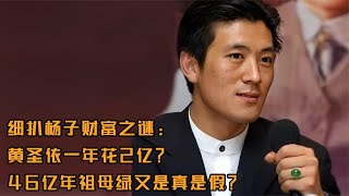 杨子到底有多有钱？黄圣依一年零花钱2亿？戴46亿年祖母绿戒指？