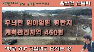 [고집꺽고 던지는땅] 평탄지 임야 계획관리지역 450평 가격인하 급매물토지 급매땅 양평전원주택 토지매매 옥천면 신복리 아신역 오빈역 역세권 입지좋은땅 싼땅 양평토지 양평땅매매