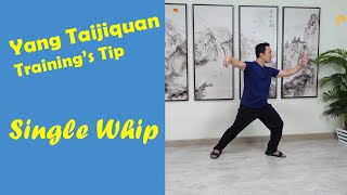 Yang Taiji (Tai Chi) Single Whip Training's Tips & Tricks