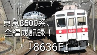 東急8500系全編成記録！『8636F』