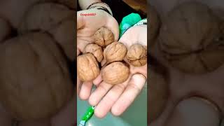 Wonderland California walnuts super Quality 🤩😘1kg@425