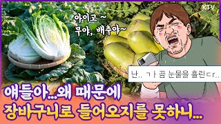 🥬 배추·무값 50% 급등?!🚨 설 명절 앞두고 정부 긴급 대응! 우리 농산물 할인·비축 총력전🔥​ 컴인 마이 장바구니.......