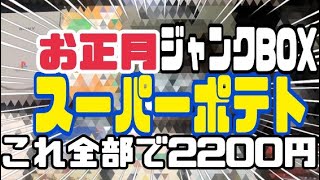 2200円の宝箱✨年初めに購入したジャンクをBOX開封！2025年も出会えるか、、、【スーパーポテト】【ジャンクBOX】【おすすめゲーム探し】