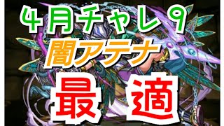 【パズドラ】4月チャレダン9 今月は9が最適 闇アテナ