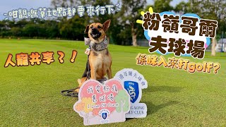 狗狗都可以打golf? 當哥爾夫球場化身成寵物公園~golf club~入場有乜要注意？人寵共享~寵物友善農莊~