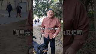 [ 罗罗哥搞笑视频 ] 这算不算狗眼看人低？…#shorts