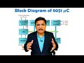 block diagram of 8051 microcontroller architecture and key components explained