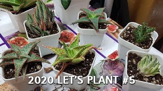 Let's Plant 2020 EP5