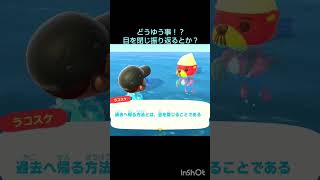 【あつ森】　ラコスケ🦦のホタテ。と、ついでに一言。過去へ帰る？#animalcrossing #shorts