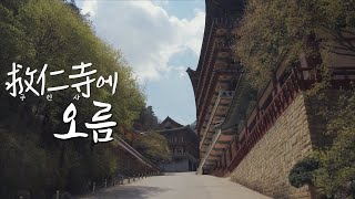 이것은 등산인가 사찰 방문인가! 2km 등산은 기본, 충북 단양 구인사 | 구인사에 오름 | Guinsa Temple in Danyang