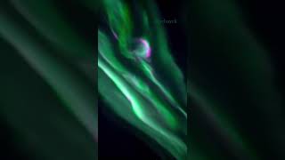 Northern Lights | Aurora Borealis | Night Sky in the Lofoten Islands, Norway | Bella Bucchiotti