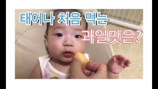 (中字)중국에서육아 | 태어나 처음 과일 먹어본 리우의 반응은? 韩国夫妻在中国 | 生来第一次吃过水果