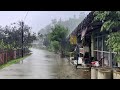 Heavy Rain and Thunder in the Hills of Sentul Village | Rural Sounds in the Rain and Thunder | ASMR