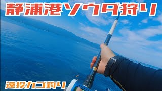 【遠投カゴ釣り】静浦港ソウダ狩り　　#ソウダガツオ