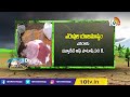 రబీ నువ్వు సాగు యాజమాన్యం rabi sesamum cultivation matti manishi 10tv