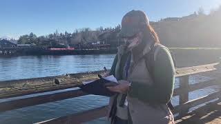 Compliance Inspections