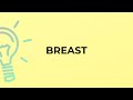 What is the meaning of the word BREAST?