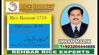 1718 Basmati Rice || 1718 Rice || Difference Between 1718 and 1121 Basmati Rice || PB 1718