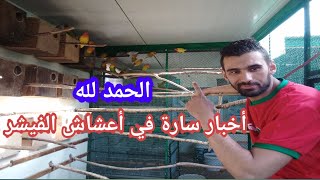 مفاجأة أثناء فتح الاعشاش😱أخيرا ظهرت الطفرة التي كنت انتظرها