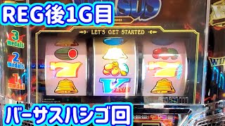 カピバラくん　たまにある？迷惑1G連ハマリバーサス　＃205