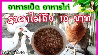 แจกสูตร อาหารเป็ด ไก่  ในราคาประหยัด ลดต้นทุน โตวัย ปลอดภัยจากสารเคมี