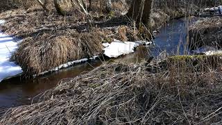 2018.03.27. Pavasara ūdeņi skrien uz jūru.