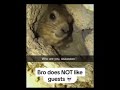 Bro does NOT like guests meme #funny #meme #memes #memefunny #shorts #short