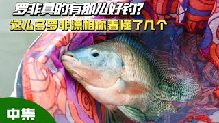 钓罗非只要有口谁钓都能上岸？看看这些漂相你能抓住几个【游钓黑坑疯子】