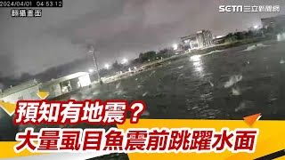 地震前就有預知？台南養殖業者遇怪象驚呼：數千虱目魚連續2天跳躍水面｜三立新聞網 SETN.com