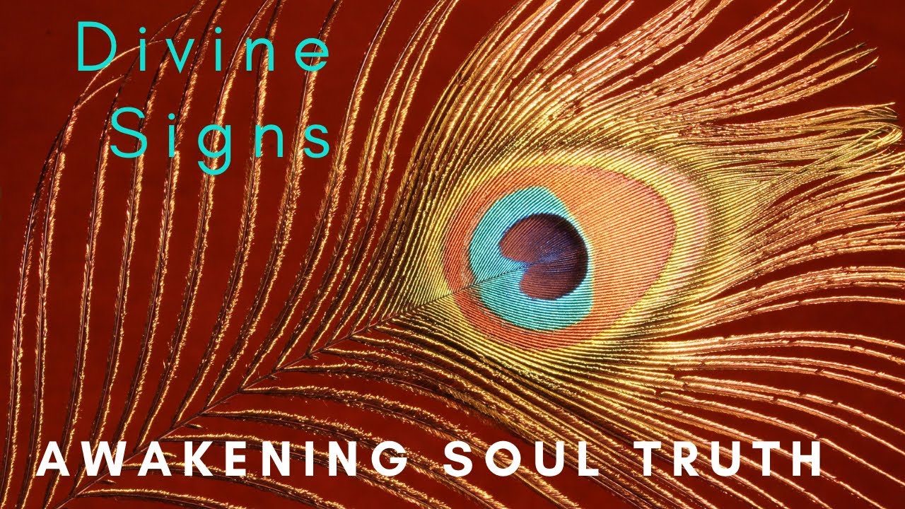 Divine Signs Youtube