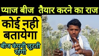 प्याज का बीज कैसे तैयार करे।। प्याज के बीज की खेती।। घर पर तैयार करे प्याज बीज Onion seeds farming .