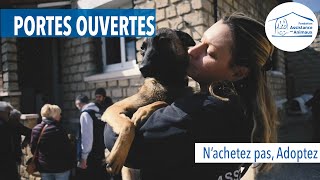 N'achetez pas, ADOPTEZ