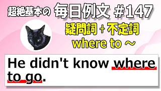 毎日例文147/疑問詞+不定詞がわかる He didn't know where to go. 中学英語をやり直す！