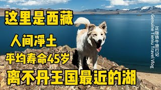 鐵牛旅行記150集/边牧平安到达西藏最高的湖【普姆雍错】我来了。平安一刻也不离开我的视线，我说什么它都听得懂，边牧果然是智商第一。感謝收看【正版鐵牛旅行記Allen】#環遊中國 #艾倫 #西藏 #流浪