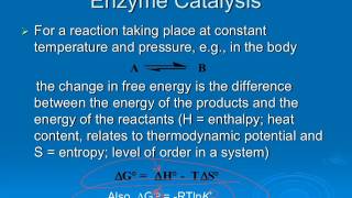 bc1 ch6 pt2 enzymes