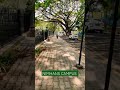 nimhans campus nimhans bangalore dailyvlog bangalore viral bangalorevlogs bangaloredays