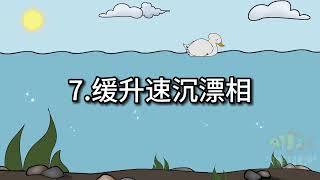 野钓常见的11种“漂相”，你遇见过几种？