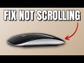 Magic Mouse Not Scrolling - How To Fix