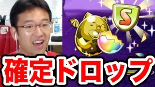 【パズドラ】遅延たまドラ確定ゲットがうまい！超極限北欧ラッシュにしげしげと挑む！